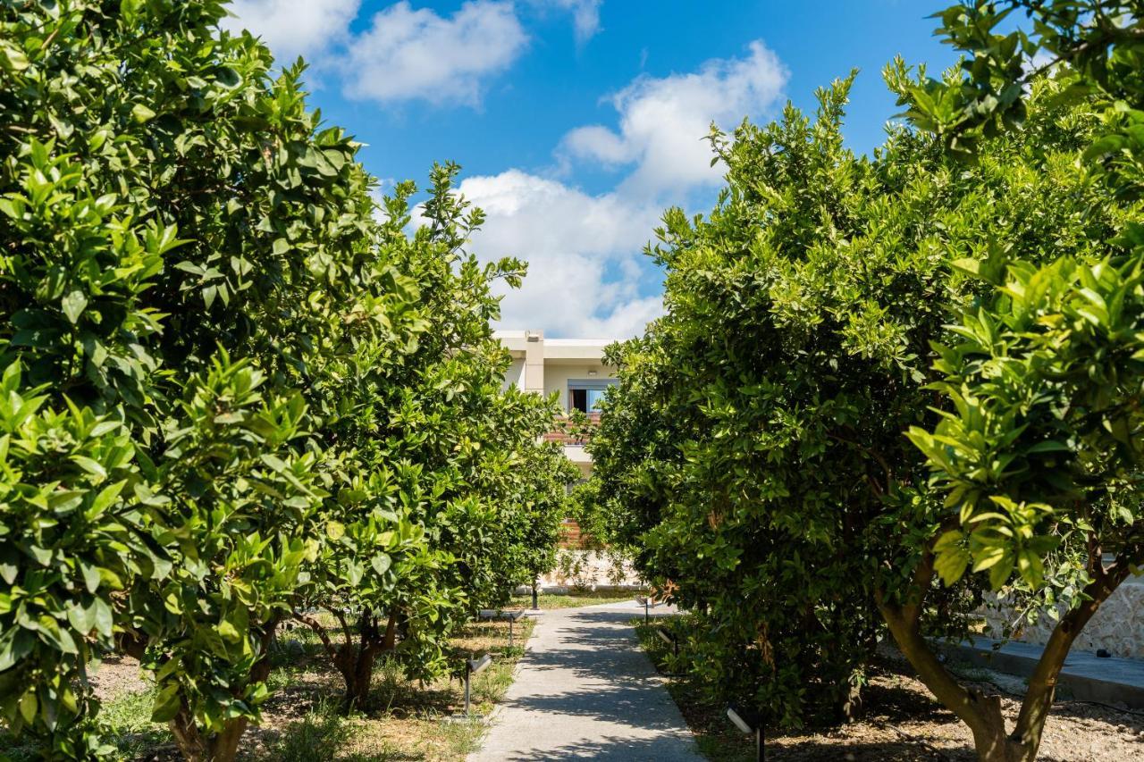 Ilyssion Holidays Hotel إياليسوس المظهر الخارجي الصورة